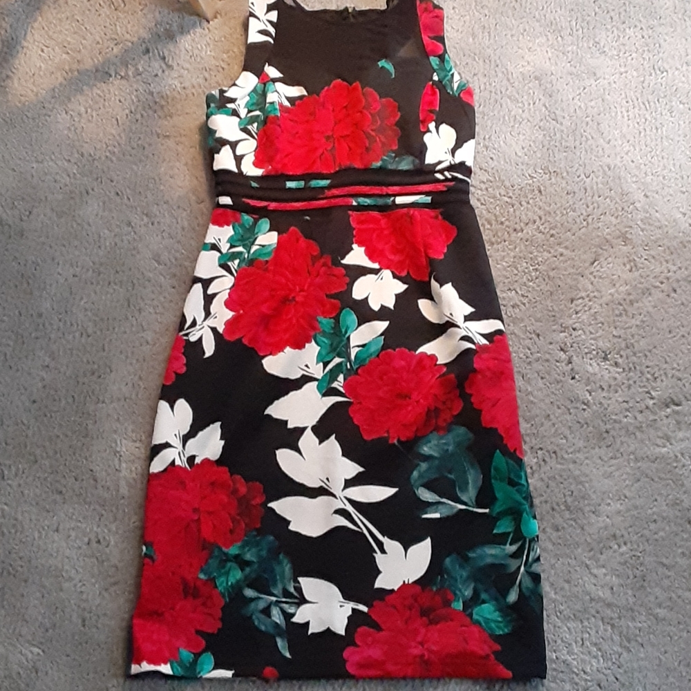 Long dress